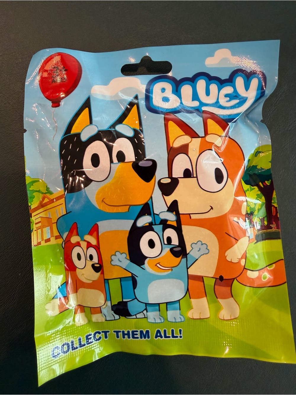 Bluey Surprise Collectible Blind Bag – Blue & Green